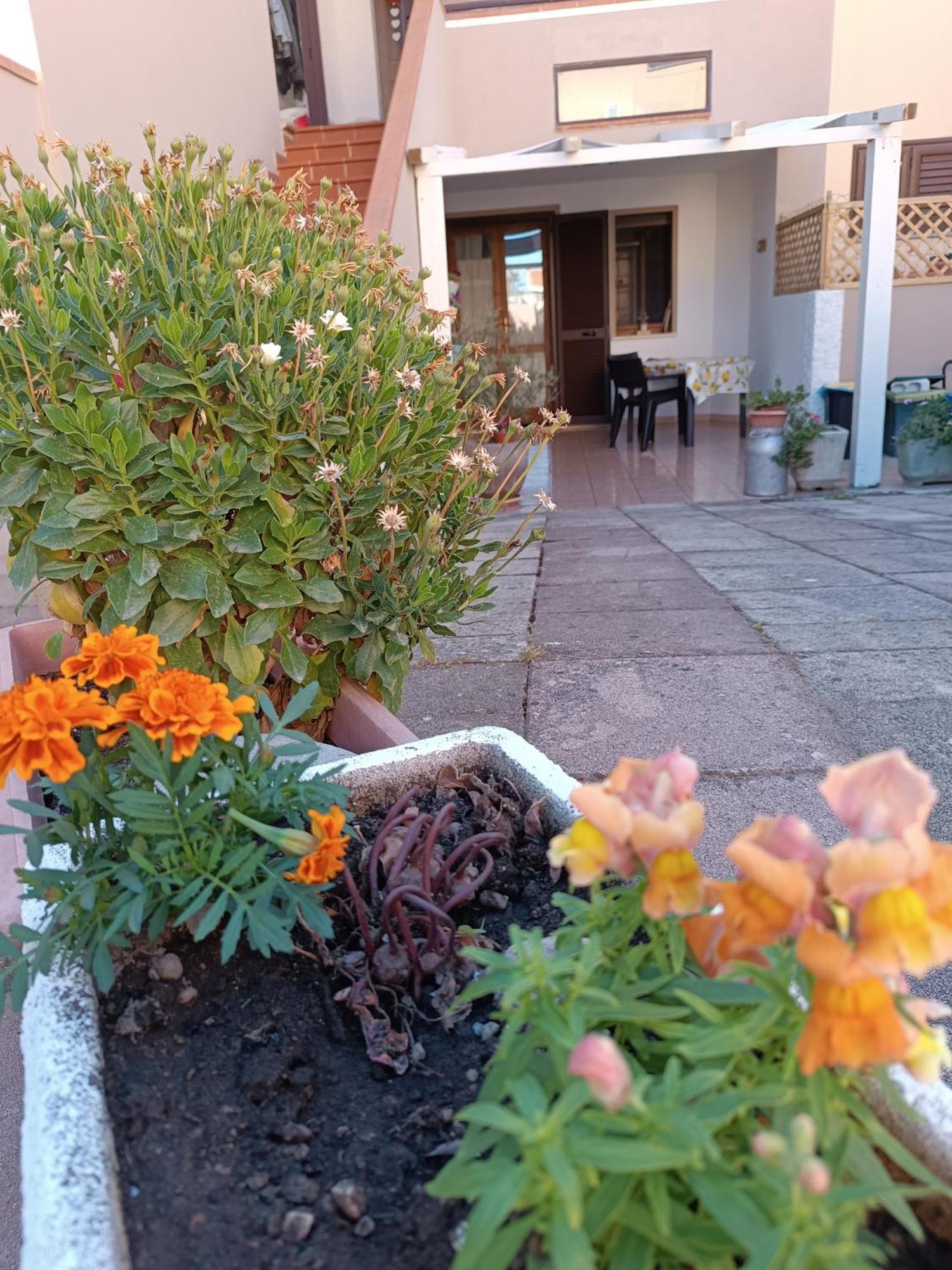 Da Francesca Villa Palmadula Exterior photo